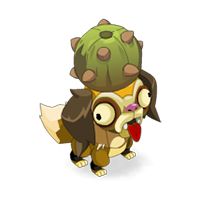 Sur la piste de Droupik