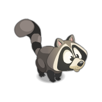 Racoune