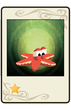 #365 Etoile de la Mer d'Asse