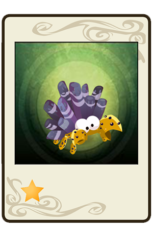 #377 Crustorail Kouraçao