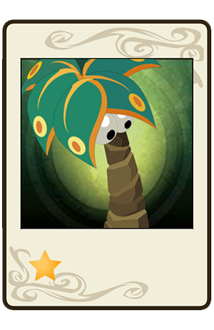 #382 Palmifleur Malibout