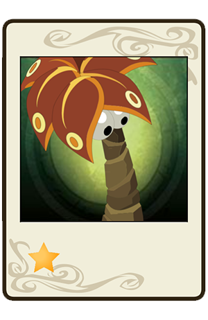 #383 Palmifleur Passaoh