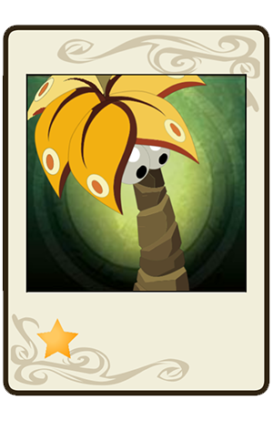 #384 Palmifleur Morito