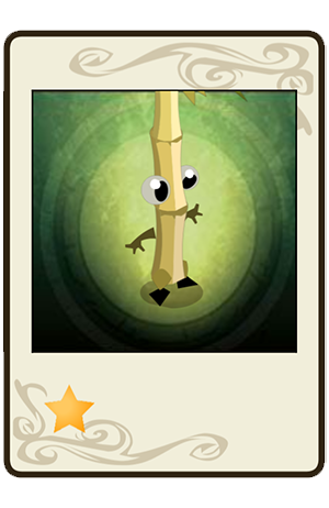 #422 Bambouto