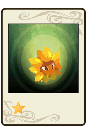 #90 Tournesol Sauvage